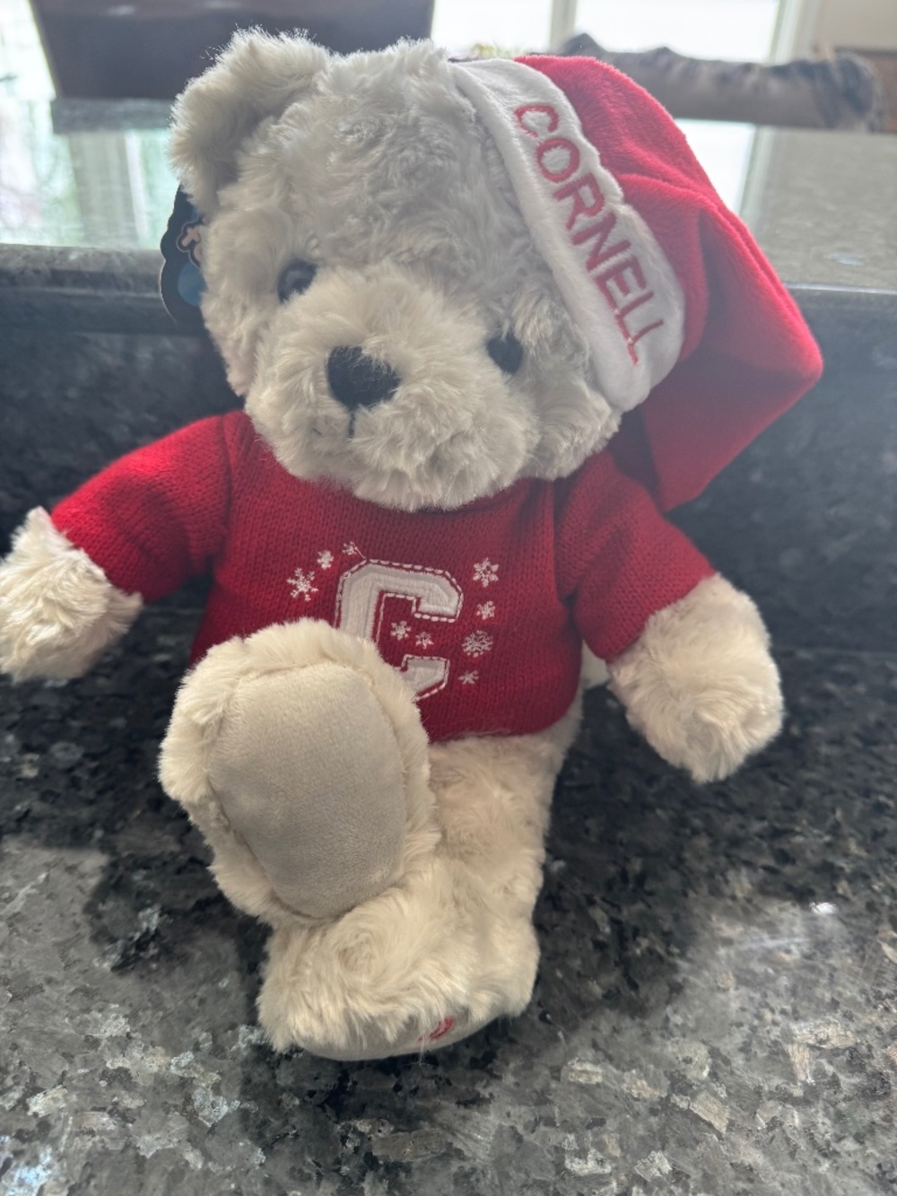 Cornell University "19 Stuffed Plush Bear New With Tags Winter Snowflake Sweater